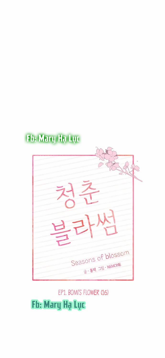 Thanh Xuân Rực Rỡ – Season Of Blossom 19 trang 15