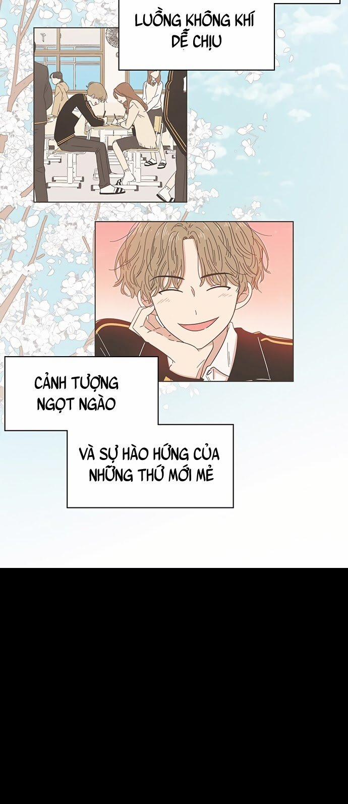 Thanh Xuân Rực Rỡ – Season Of Blossom 26 trang 45