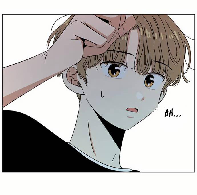 Thanh Xuân Rực Rỡ – Season Of Blossom 41 trang 4