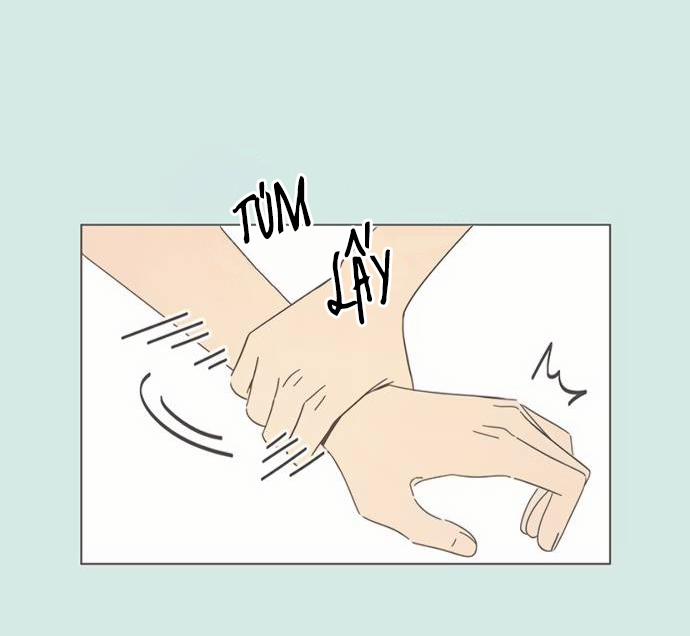 Thanh Xuân Rực Rỡ – Season Of Blossom 41 trang 42