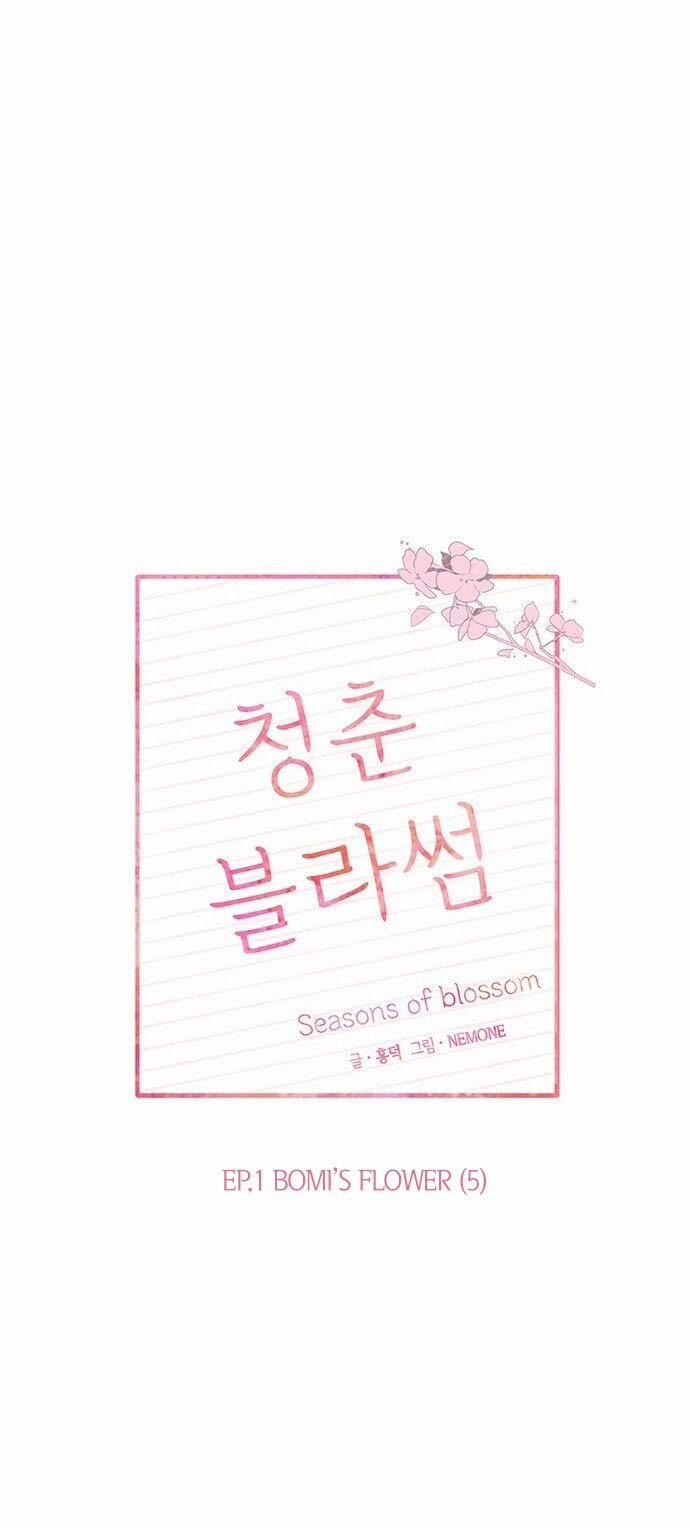 Thanh Xuân Rực Rỡ – Season Of Blossom 5 trang 15