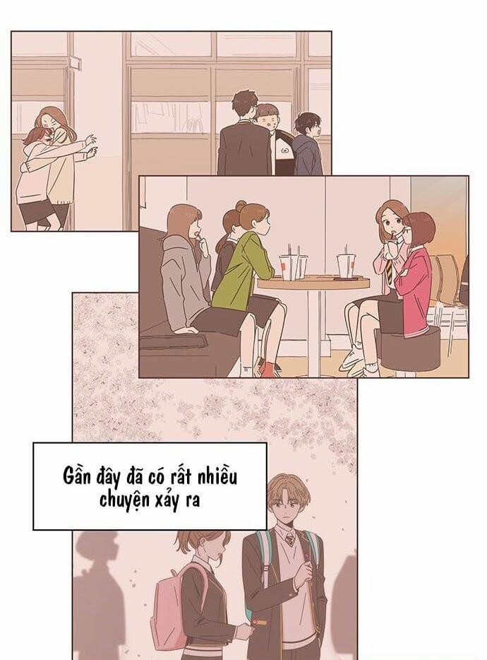 Thanh Xuân Rực Rỡ – Season Of Blossom 5 trang 19