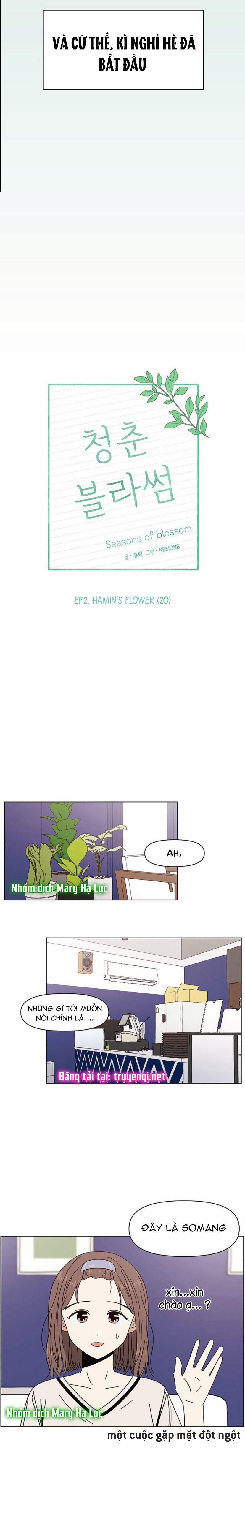 Thanh Xuân Rực Rỡ – Season Of Blossom 50 trang 13
