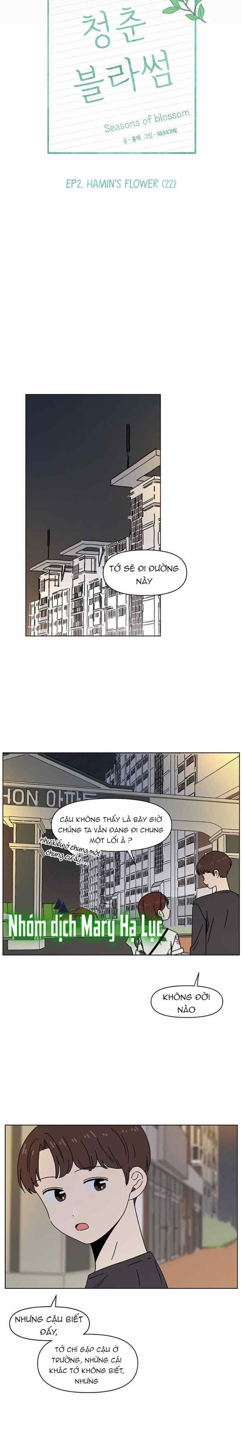 Thanh Xuân Rực Rỡ – Season Of Blossom 52 trang 12