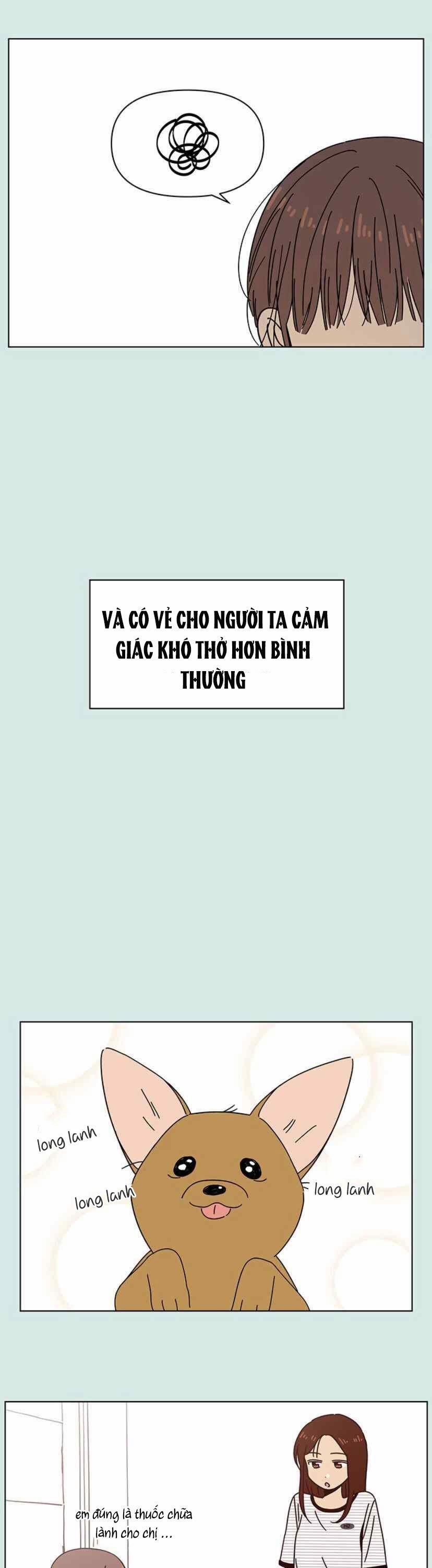 Thanh Xuân Rực Rỡ – Season Of Blossom 52 trang 19