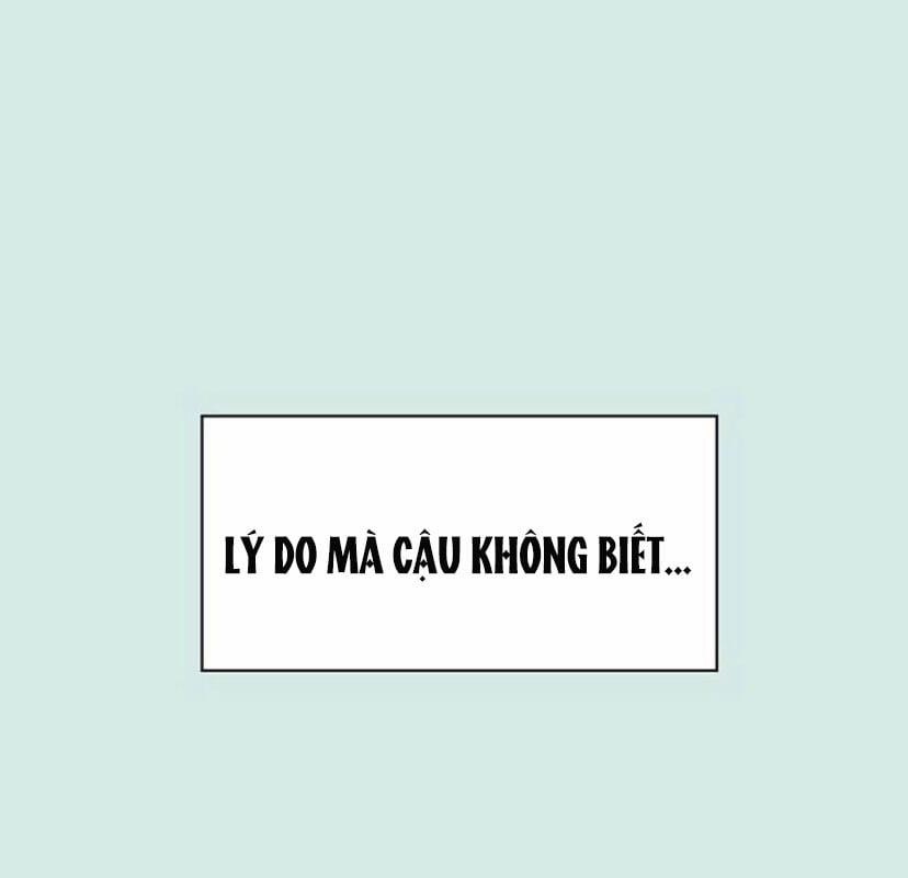 Thanh Xuân Rực Rỡ – Season Of Blossom 55 trang 158