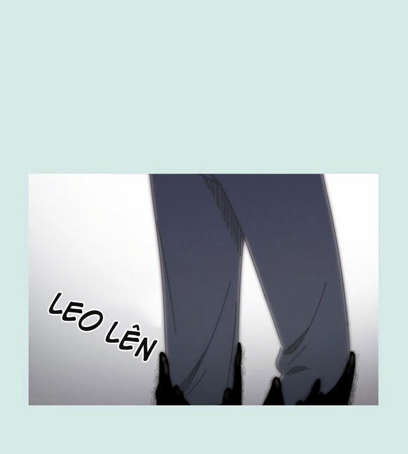 Thanh Xuân Rực Rỡ – Season Of Blossom 55 trang 36