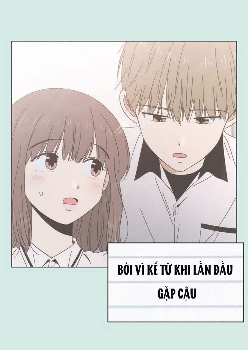 Thanh Xuân Rực Rỡ – Season Of Blossom 55 trang 8