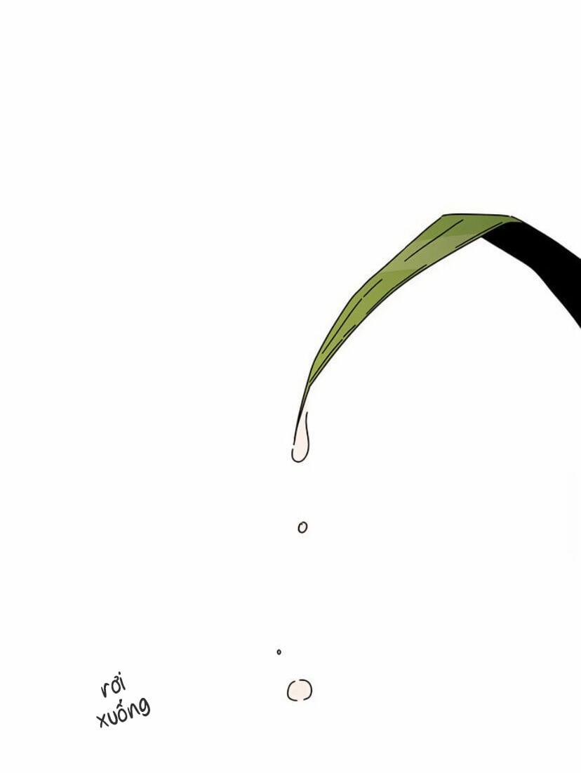 Thanh Xuân Rực Rỡ – Season Of Blossom 55 trang 85