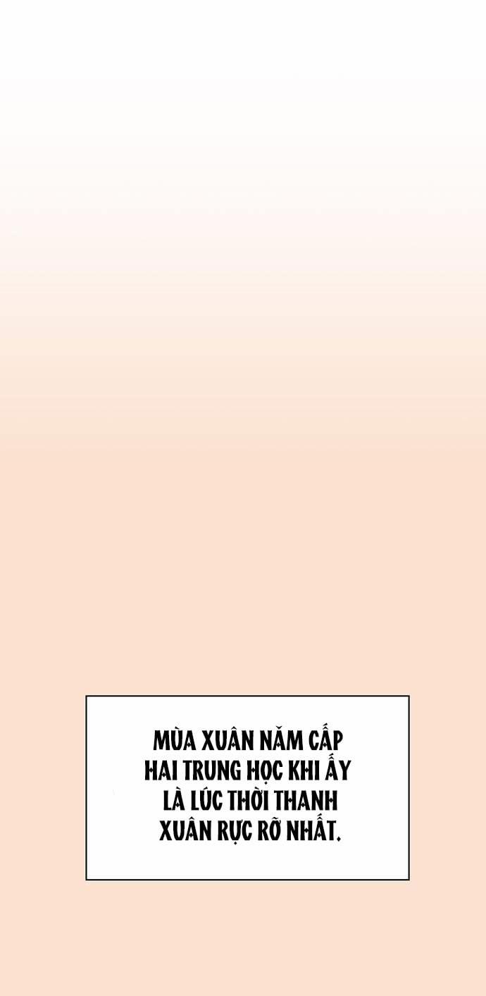 Thanh Xuân Rực Rỡ – Season Of Blossom 77 trang 1