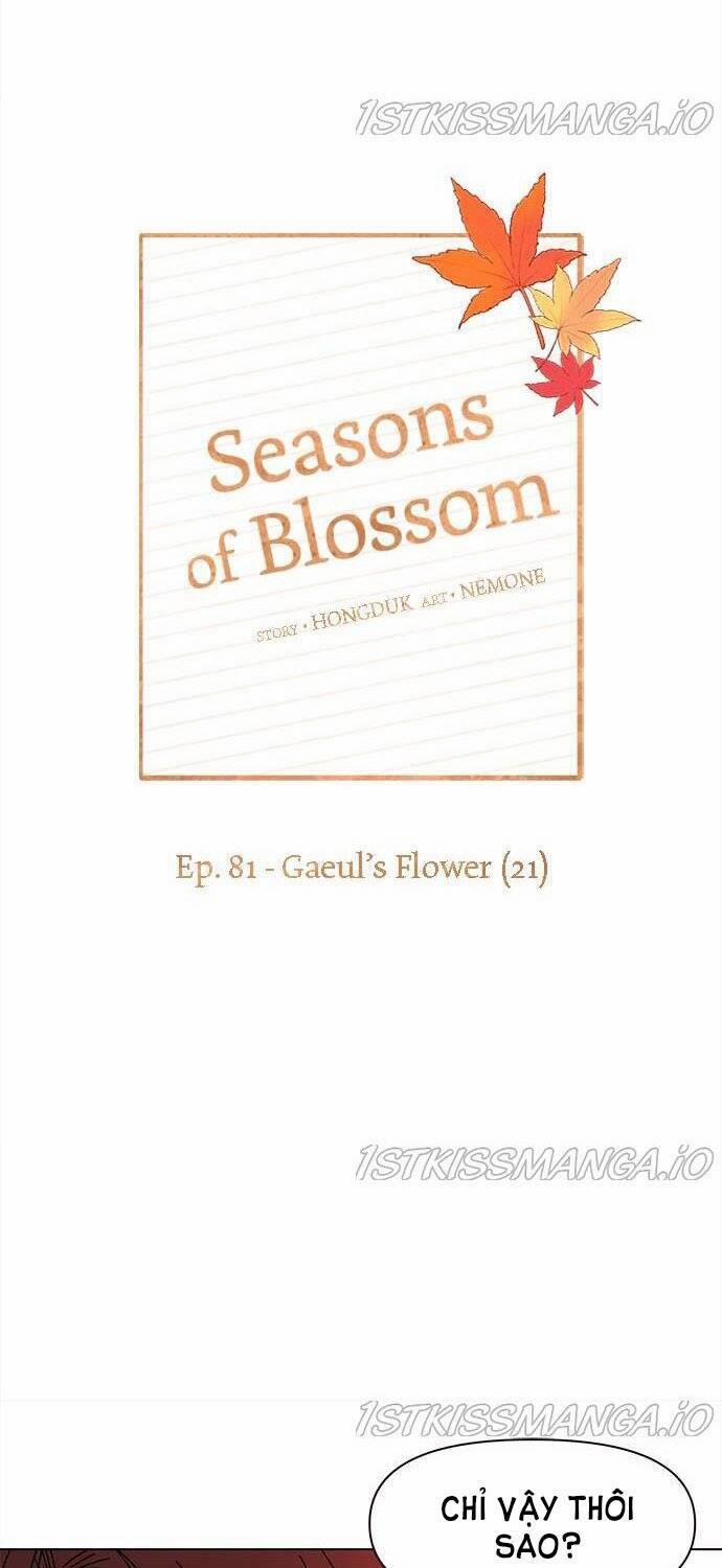 Thanh Xuân Rực Rỡ – Season Of Blossom 81 trang 27