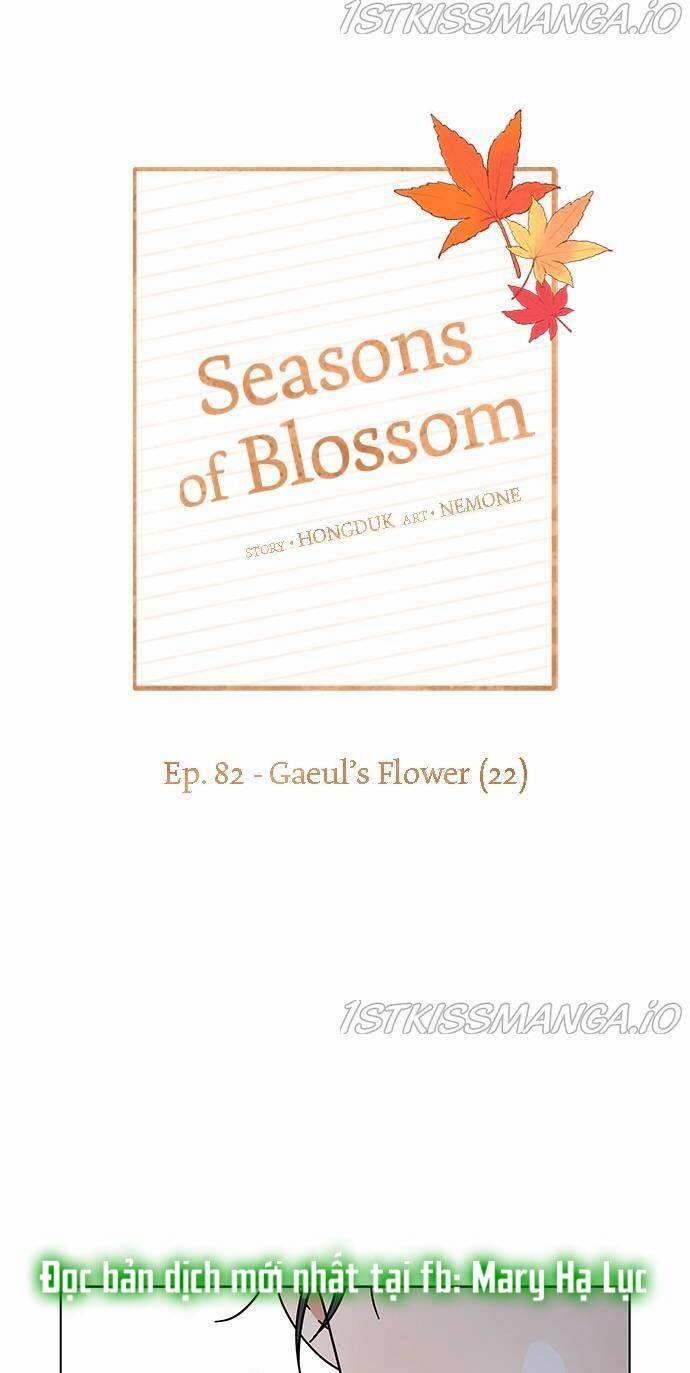 Thanh Xuân Rực Rỡ – Season Of Blossom 82 trang 23