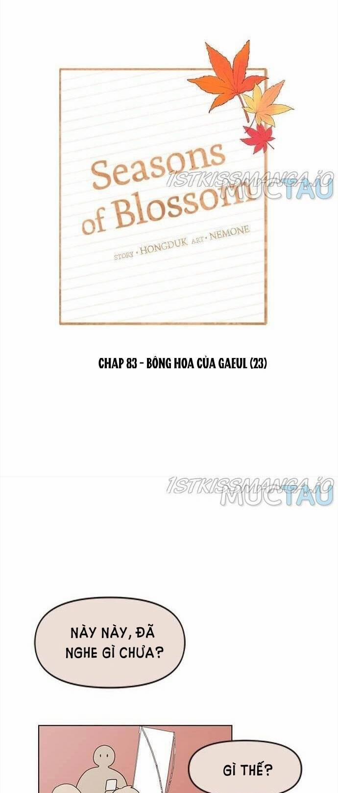 Thanh Xuân Rực Rỡ – Season Of Blossom 83 trang 31
