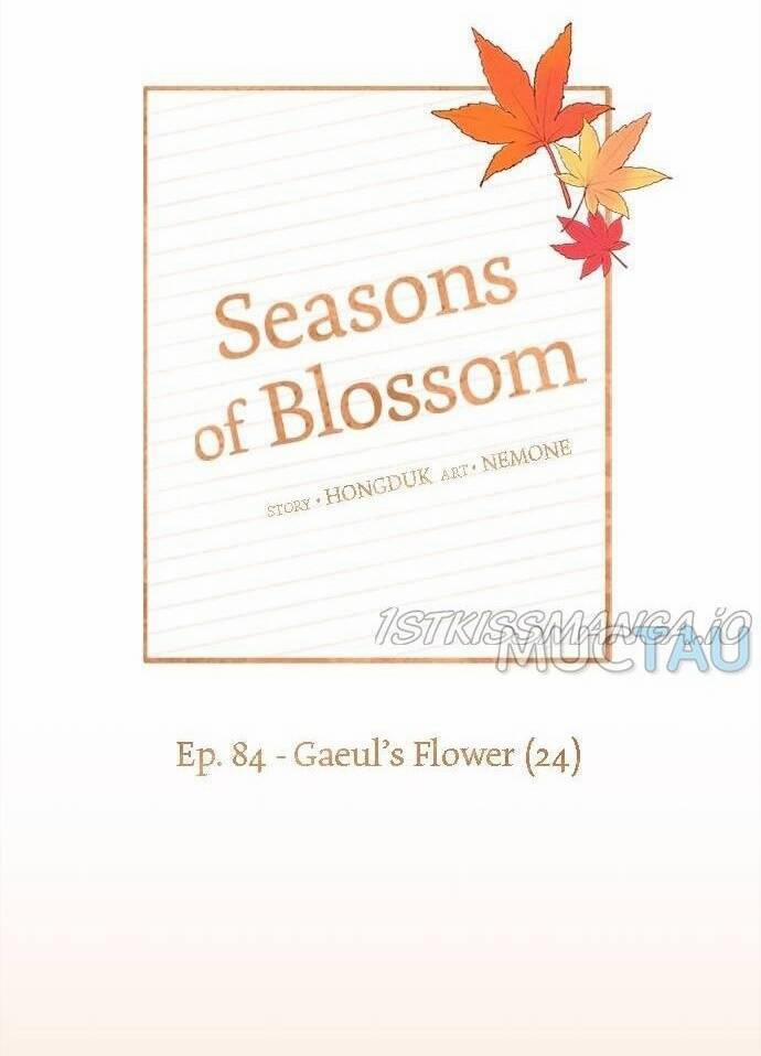 Thanh Xuân Rực Rỡ – Season Of Blossom 84 trang 20