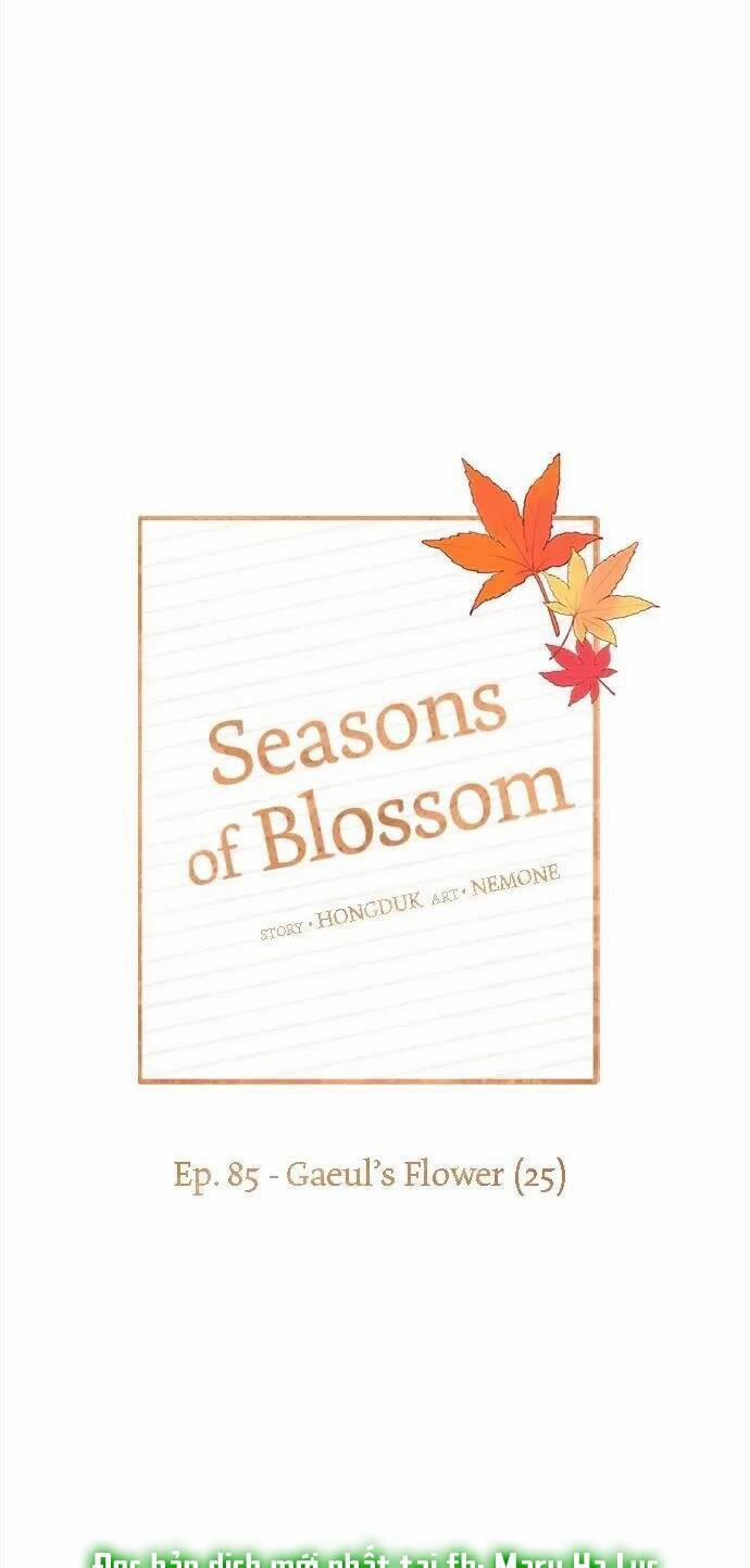 Thanh Xuân Rực Rỡ – Season Of Blossom 85 trang 9
