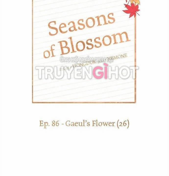 Thanh Xuân Rực Rỡ – Season Of Blossom 86 trang 60