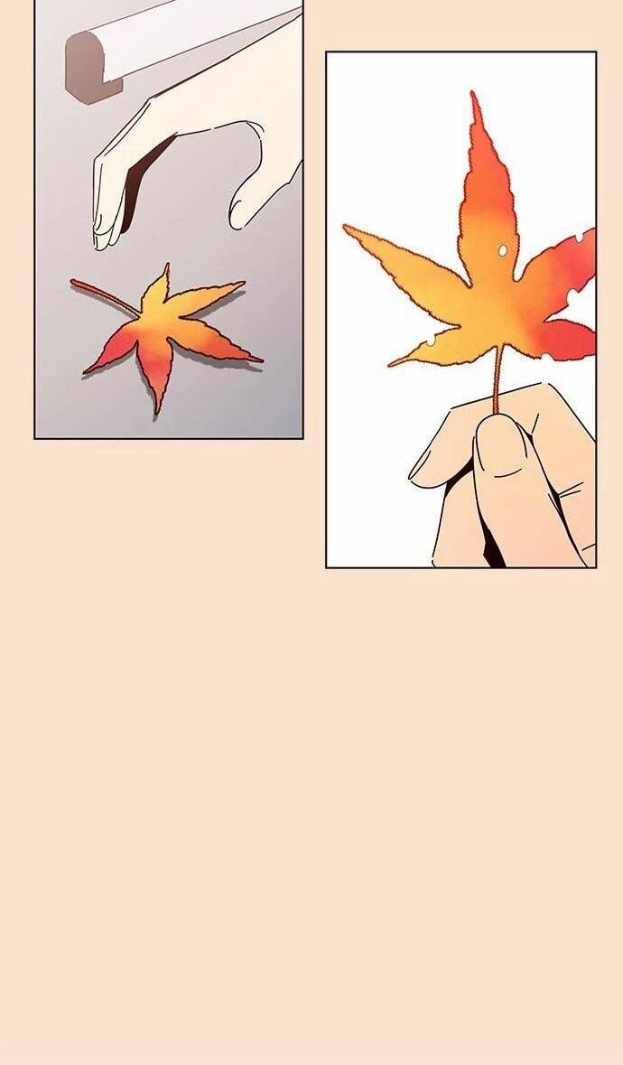 Thanh Xuân Rực Rỡ – Season Of Blossom 87 trang 4