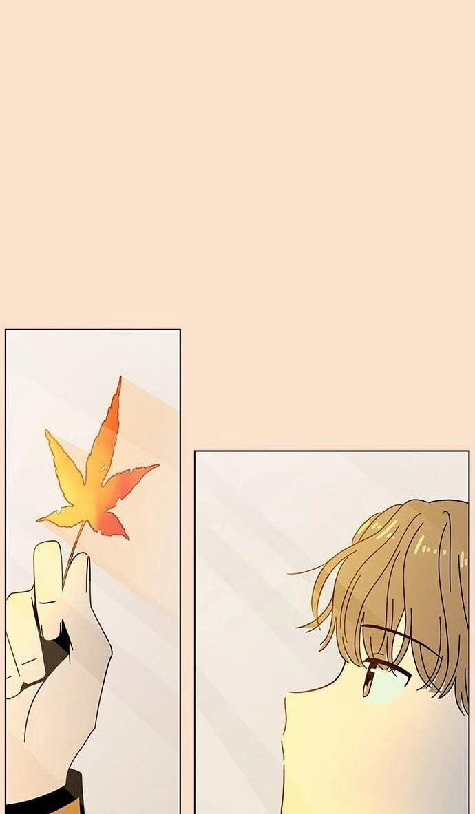 Thanh Xuân Rực Rỡ – Season Of Blossom 87 trang 7