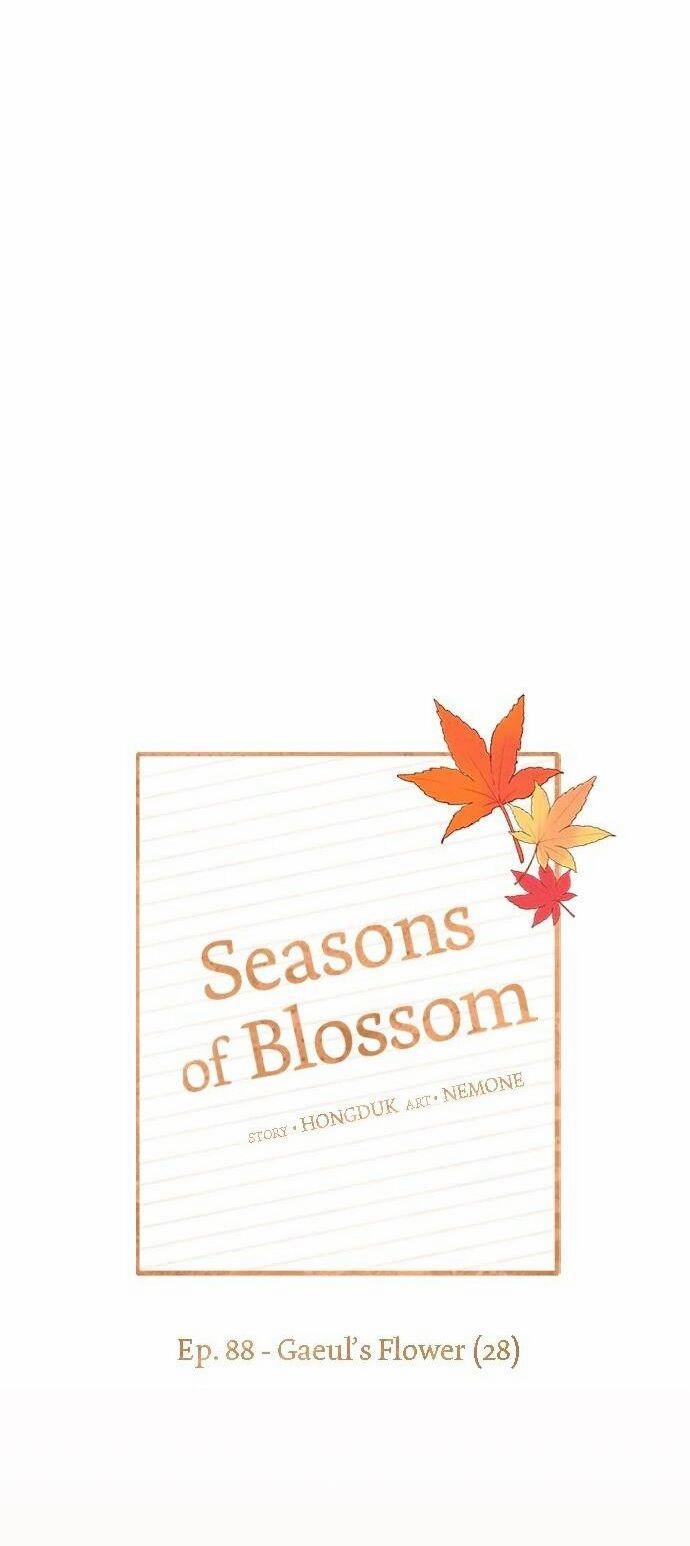 Thanh Xuân Rực Rỡ – Season Of Blossom 88 trang 14
