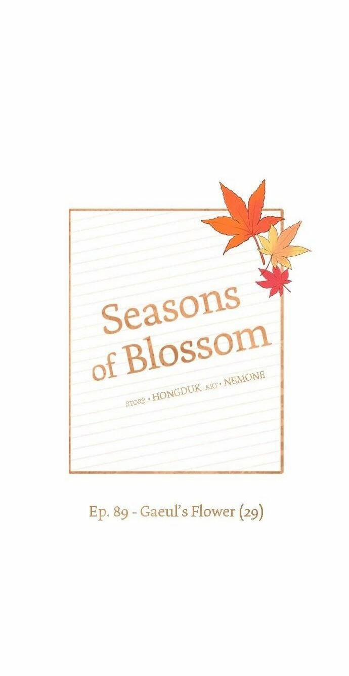 Thanh Xuân Rực Rỡ – Season Of Blossom 89 trang 19