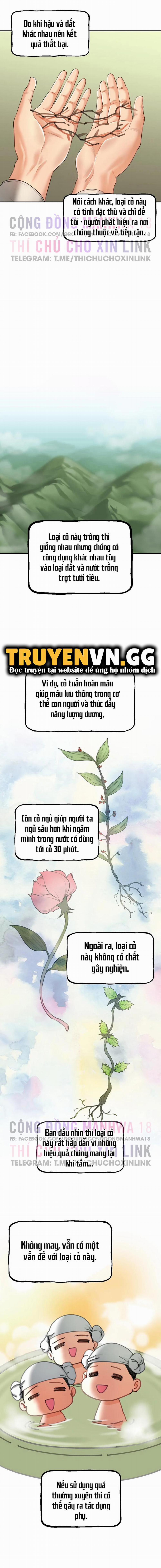 Thảo Dược Mê Tình 3 trang 7