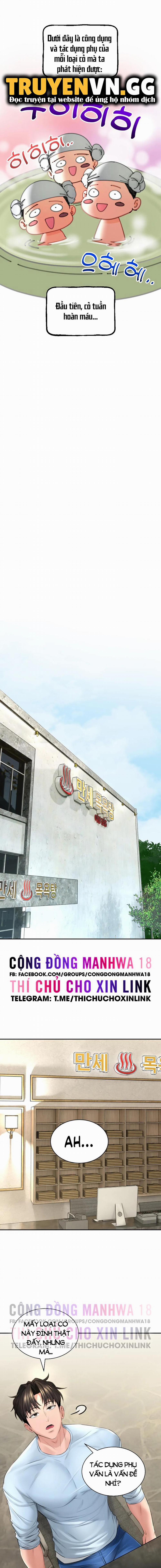 Thảo Dược Mê Tình 3 trang 8