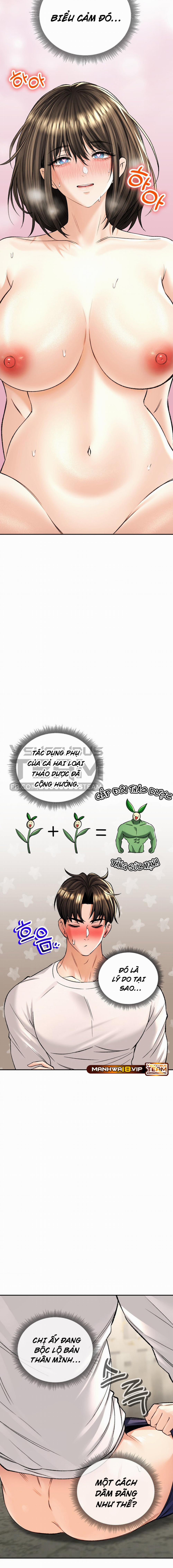 Thảo Dược Mê Tình 34 trang 7