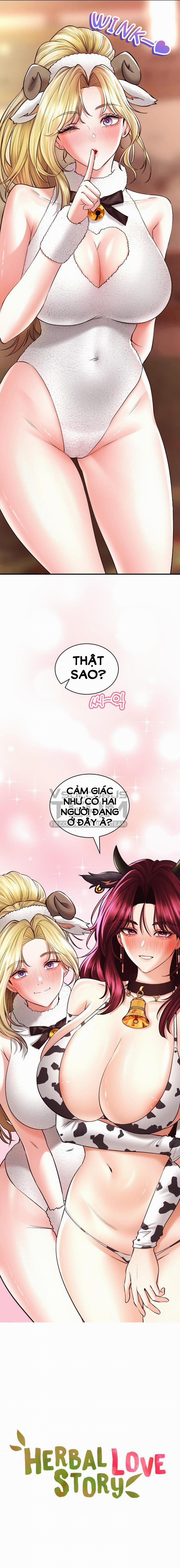 Thảo Dược Mê Tình 38 trang 19