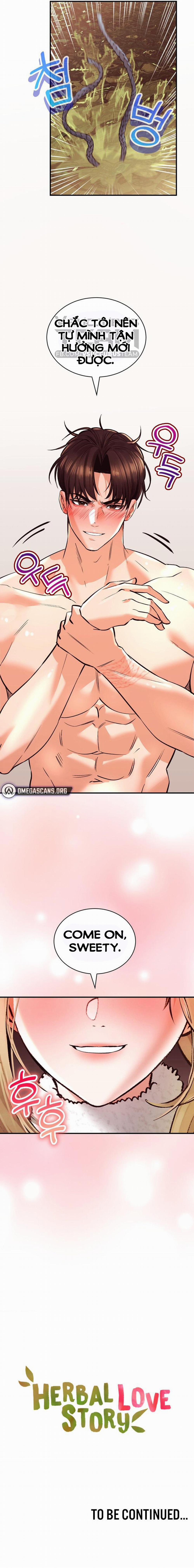 Thảo Dược Mê Tình 39 trang 17