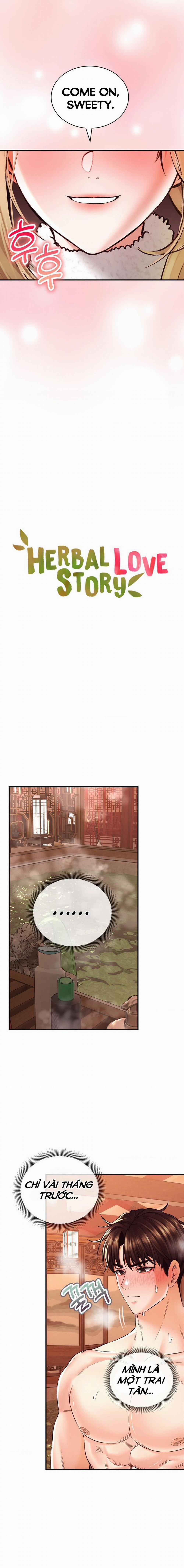 Thảo Dược Mê Tình 40 trang 2