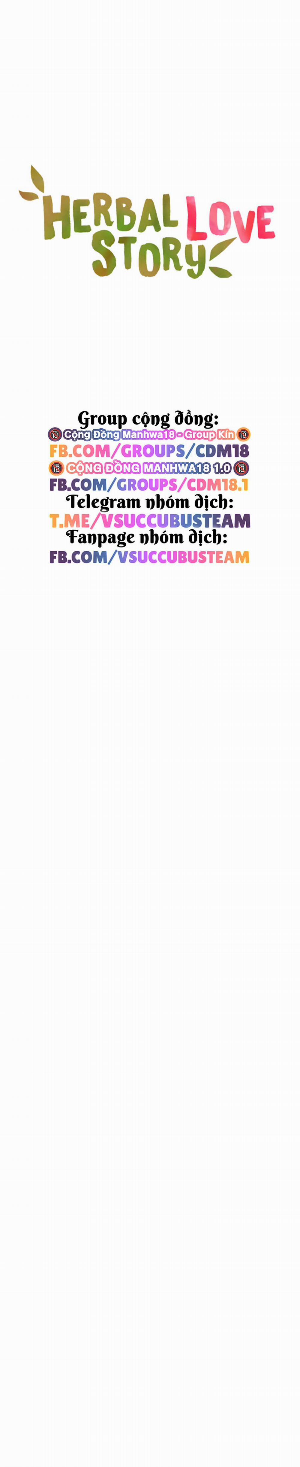 Thảo Dược Mê Tình 41 trang 10