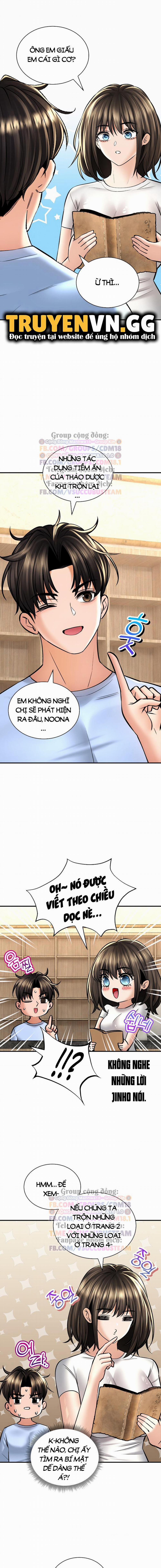 Thảo Dược Mê Tình 43 trang 1