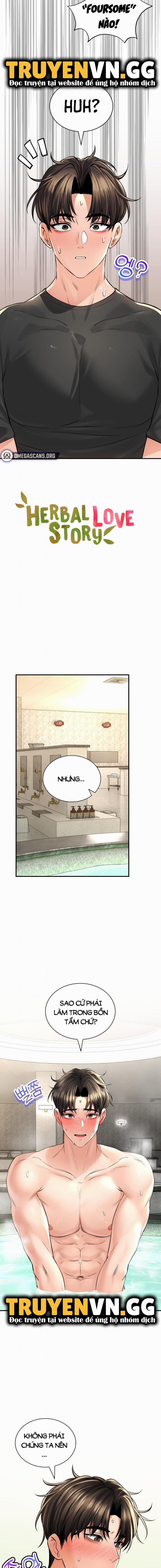 Thảo Dược Mê Tình 47 trang 2