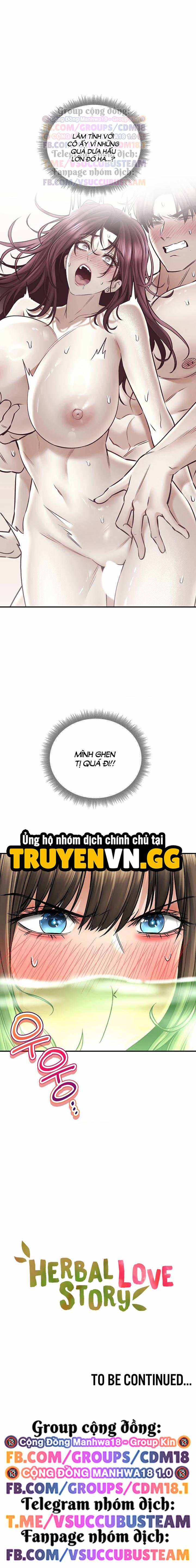 Thảo Dược Mê Tình 62 trang 13