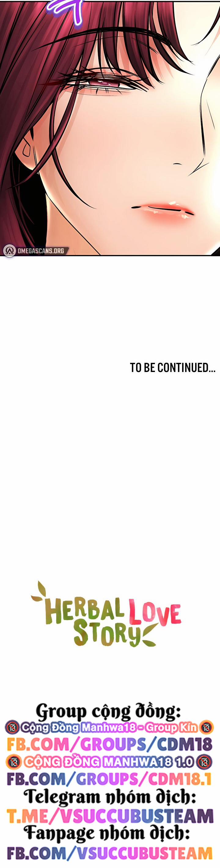 Thảo Dược Mê Tình 63 trang 13