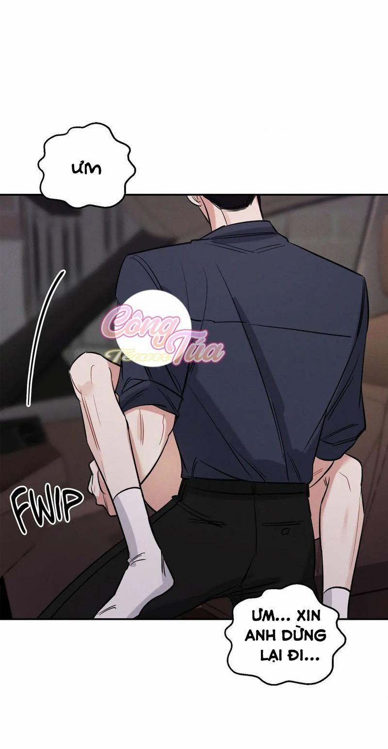 Thắp Sáng Màn Đêm 6 trang 2