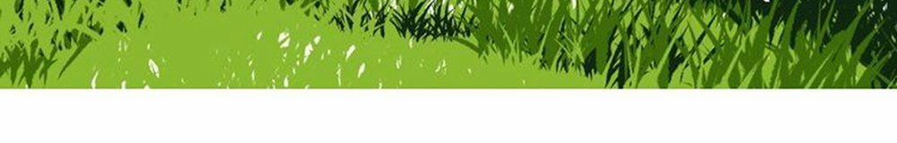 Thất Đại Kỳ Tích – Nước Mắt Bạo Quân 10 trang 49