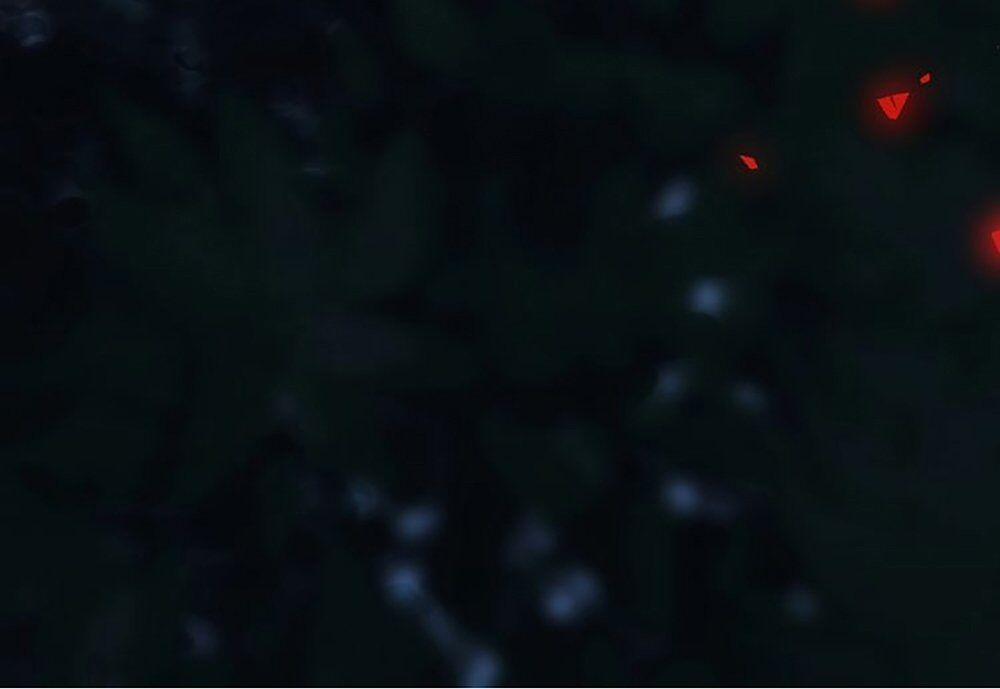 Thất Đại Kỳ Tích – Nước Mắt Bạo Quân 32 trang 45