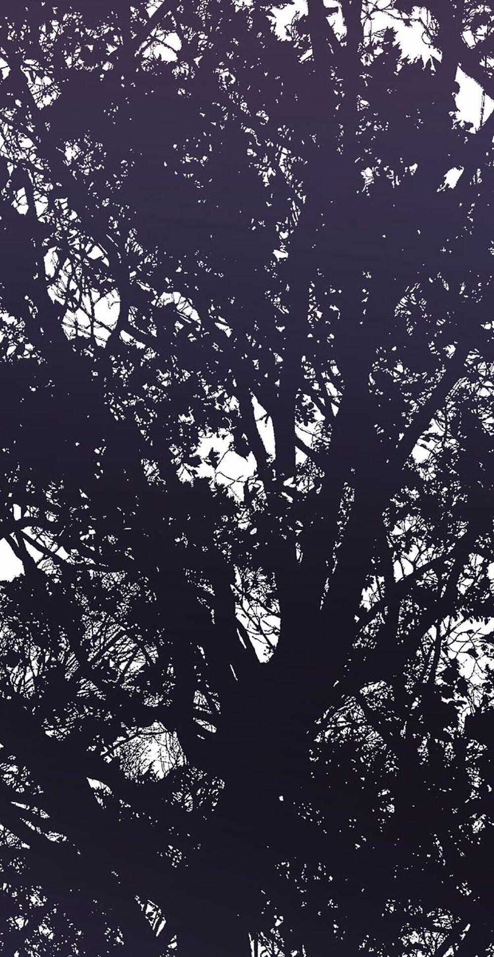 Thất Đại Kỳ Tích – Nước Mắt Bạo Quân 47 trang 14