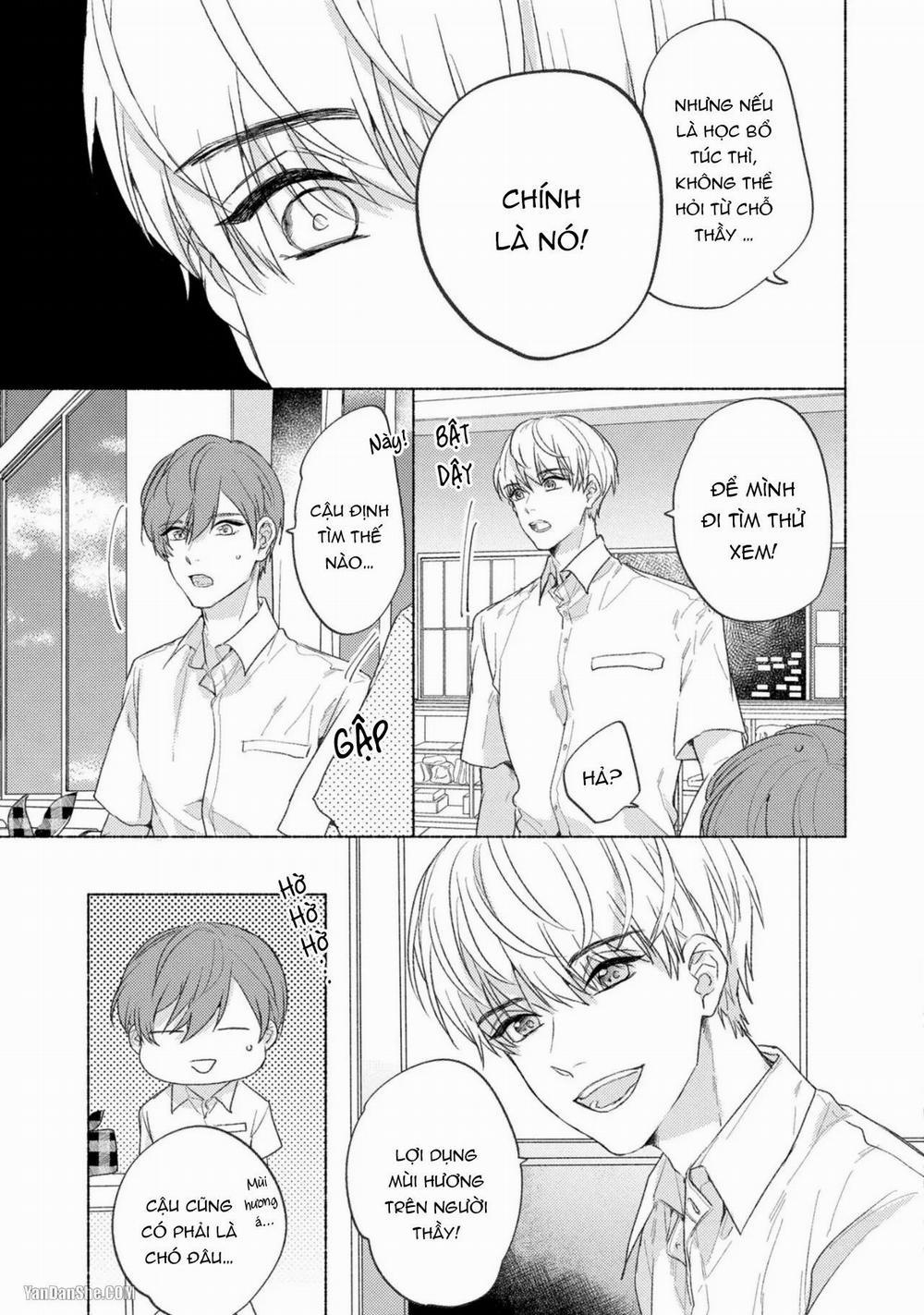 Thầy À, Em Không Thể Chịu Đựng Được Nữa 2 trang 17