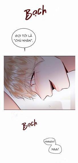 Thầy Giáo Thể Dục M 18 trang 51