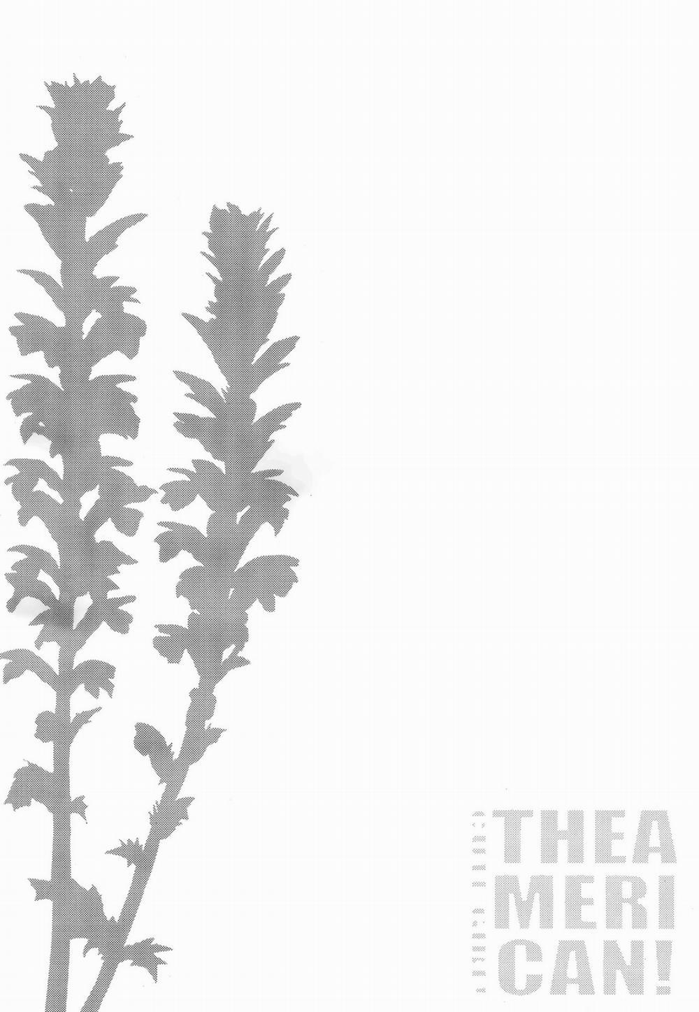 The American Cute Girl (Kancolle) Oneshot trang 2