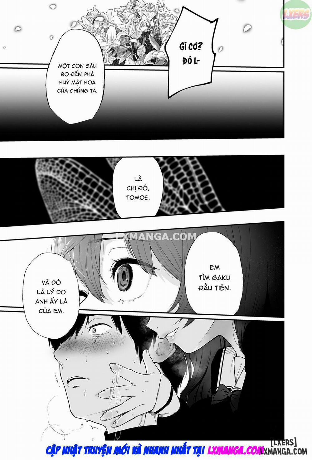 The Binding Brides Garden 3 trang 38