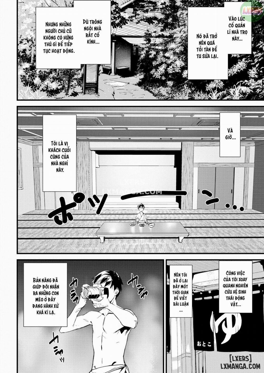 The Cat Spring's Young Matron Oneshot trang 3