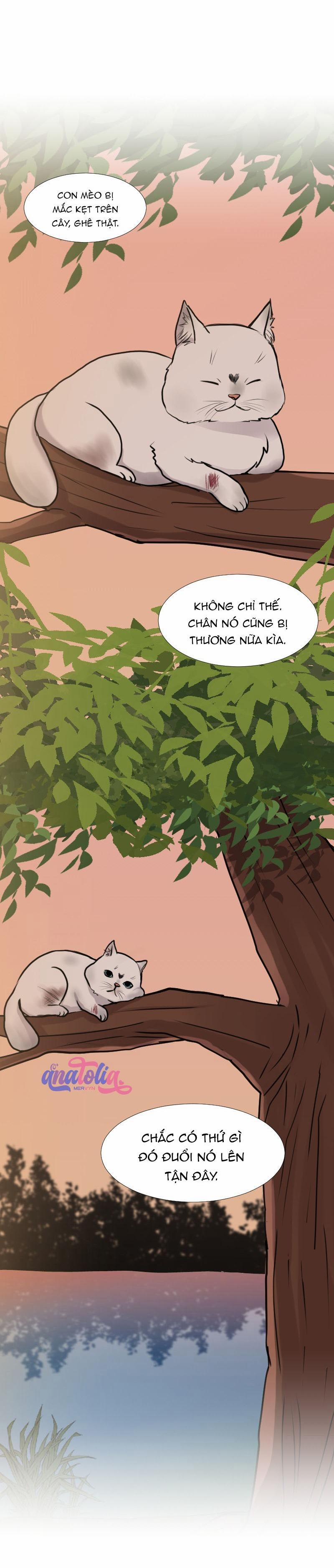 The Doctors are Out 17 trang 21