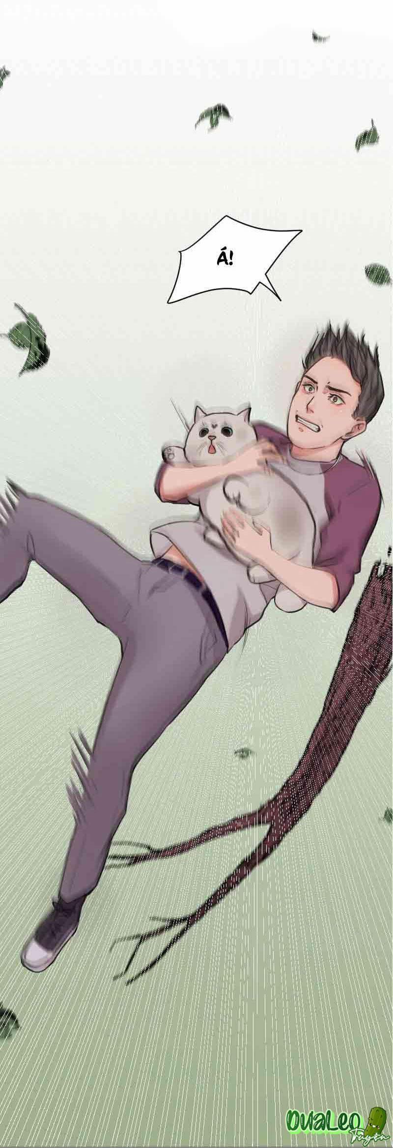 The Doctors are Out 18 trang 1