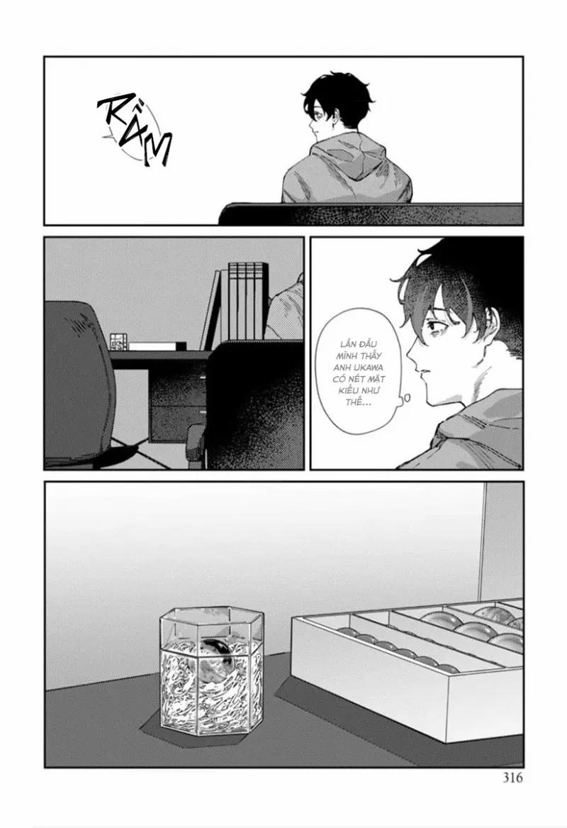 Thế Giới Của Em 5 trang 17