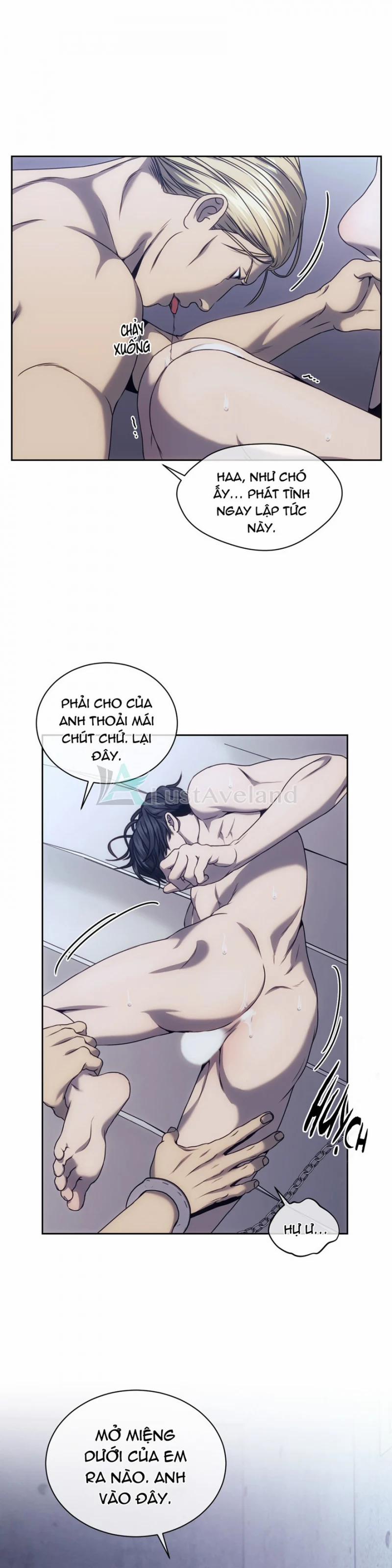 Thế Giới Của Những Quân Cờ 14 trang 10