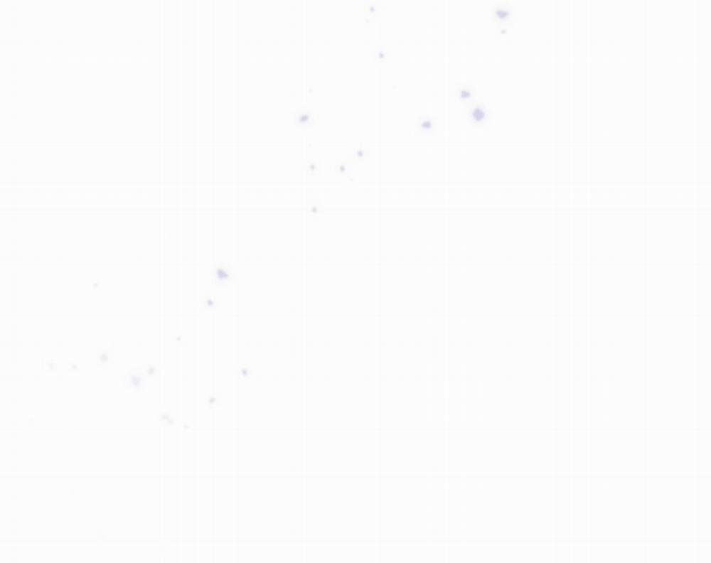 Thế Giới Khi Mất Đi Em 56 trang 24