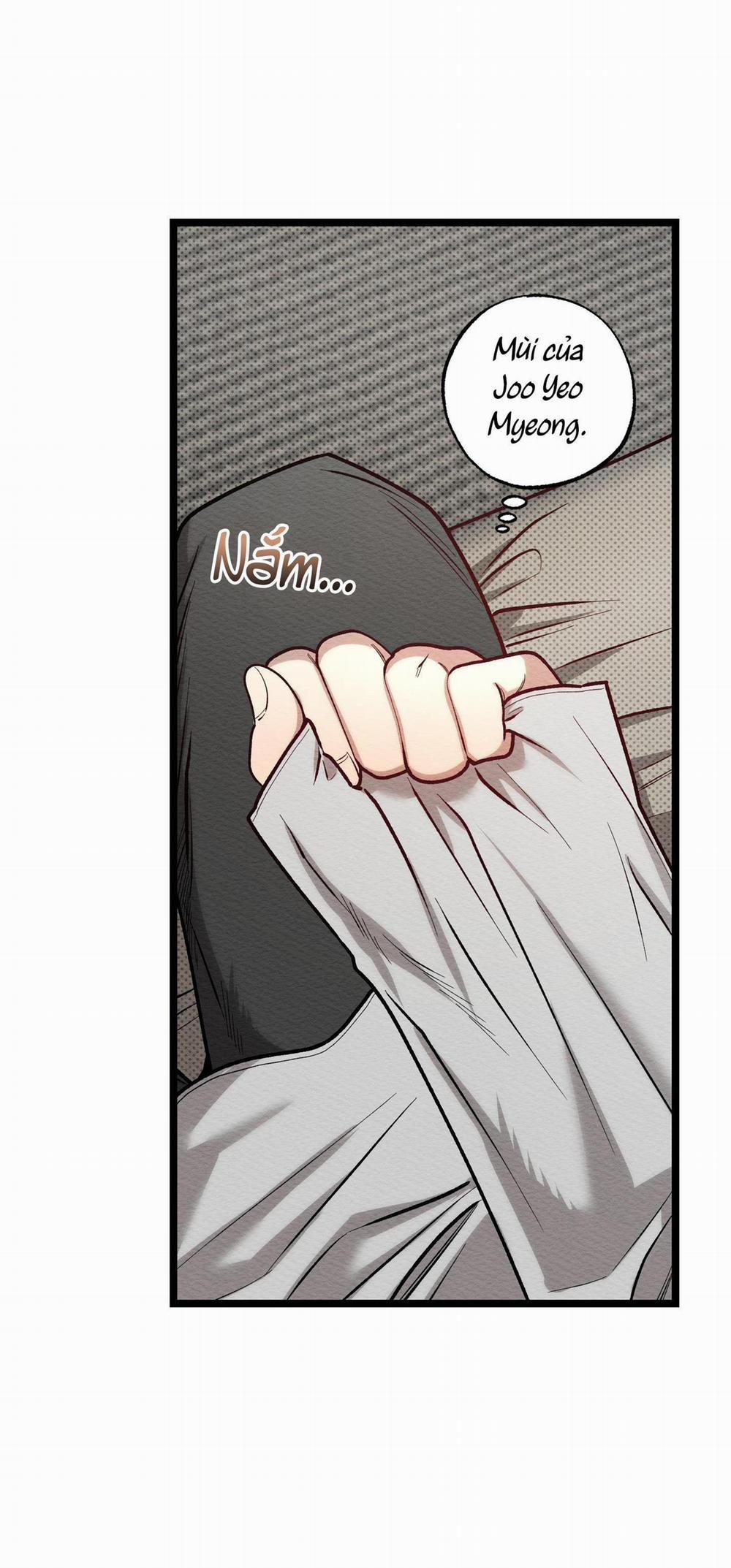 Thể Loại Lãng Mạn 11 trang 10